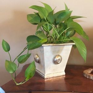 Wood Planter in Silver 🌱